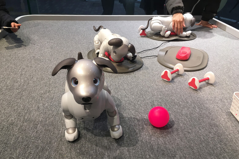 九州唯一の場所、ソニーストア 福岡天神で犬型ロボットaiboと触れ合う