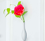 IKEBANA